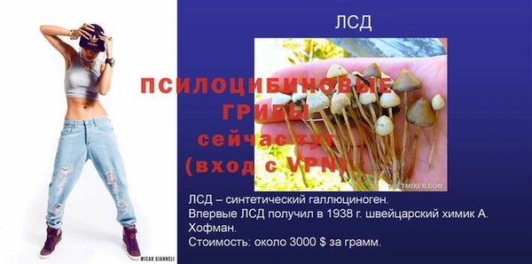 стафф Нефтегорск