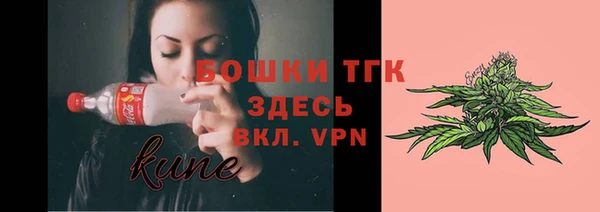 амф Надым