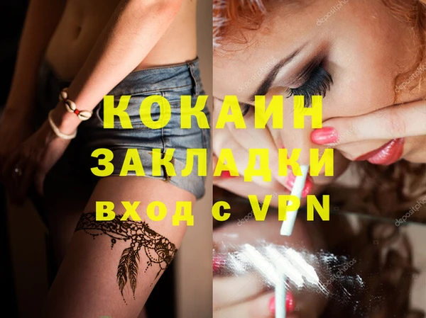 дмт Нея