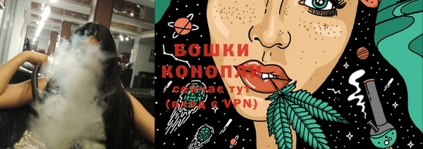 дмт Нея