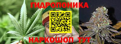 стаф Гусиноозёрск