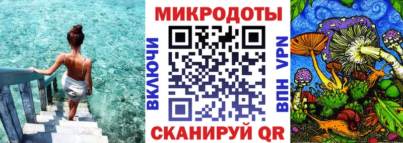 Галлюциногенные грибы Psilocybine cubensis  Кизляр 