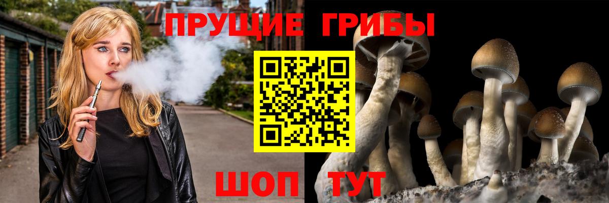 Кизляр  наркотики  Вход с VPN  Псилоцибиновые грибы Psilocybine cubensis 