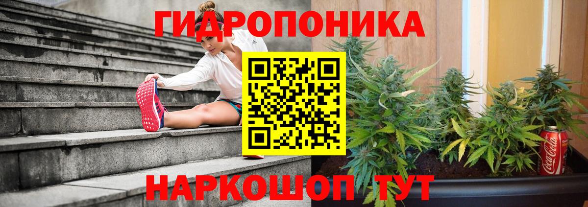 Канабис Amnesia Кизляр